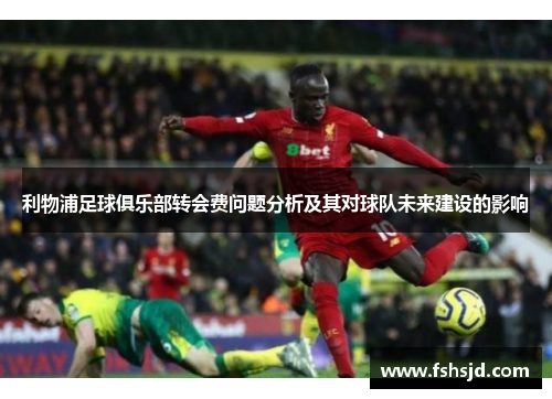 利物浦足球俱乐部转会费问题分析及其对球队未来建设的影响