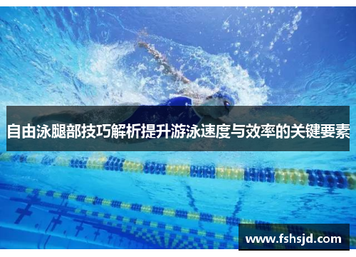 自由泳腿部技巧解析提升游泳速度与效率的关键要素